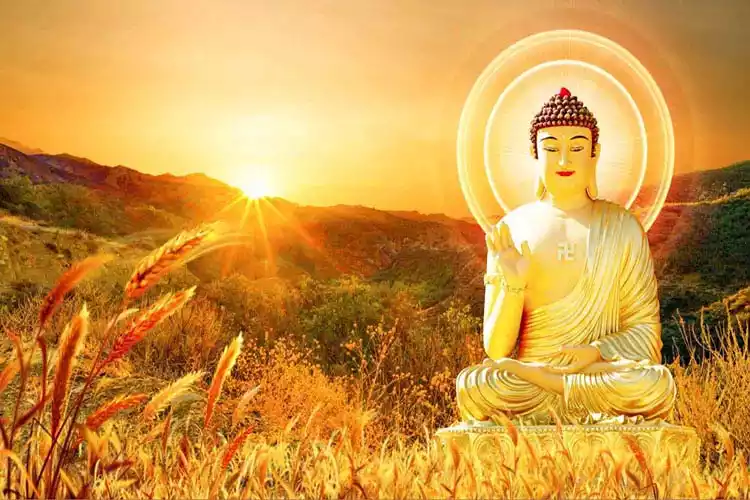 Buddha Designs Wallcovering Wallpapers - SNG Royal